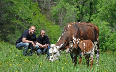 Rencontre Lait P’tits Béarnais et Comptoir de la Tinda