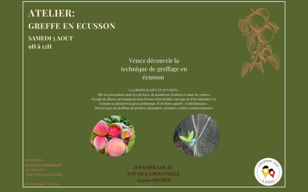 Atelier greffe en écusson