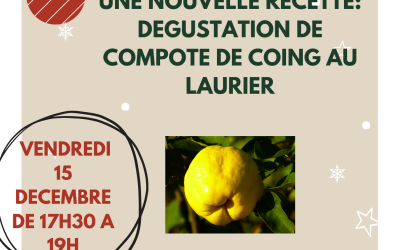 Dégustation : compote de coing au laurier