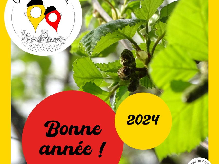 Bonne année