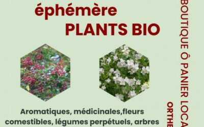 Marché éphémère de plants bio