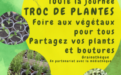 O Panier local fête le printemps !